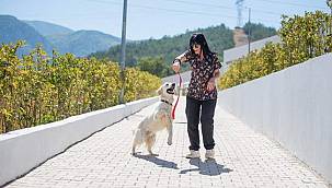 Önce tedavi ettiler sonra sahiplendiler 