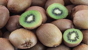 Tropikal meyve ihracatında 2022 hedefi 20 milyon dolar