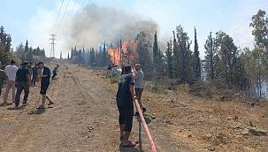 Bornova'daki yangına müdahale ediliyor 