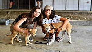 Hayvanseverler Pako'daki can dostlarla buluştu