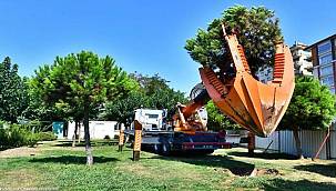 Ağaçlar taşınarak koruma altına alınıyor 