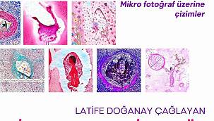 "Biraz Gerçek Biraz Düş" sergisi açıldı 