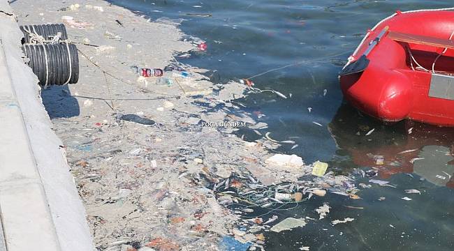 Foça'da denizde kirlilik tedirginliği 