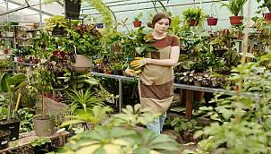 Süs bitkilerinde KDV indirimi talebi 