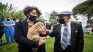 Türkiye'nin ilk sürdürülebilirlik merkezi için çalışmalar başladı 