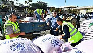 Atalık karakılçık buğdayı bir avuçtan 11 bin dönüme çıkıyor 