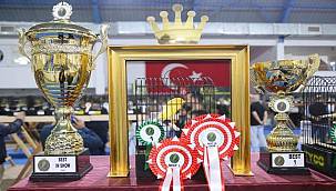 Edremit'te "Kanarya Güzellik Yarışması" yapıldı 