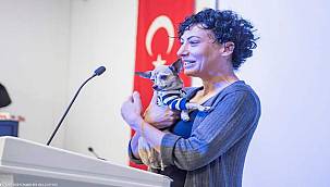 İzmir'de Sokak hayvanları için çalıştay düzenlendi 