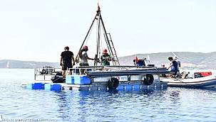 İzmir Körfezi'ndeki faylar mercek altında 