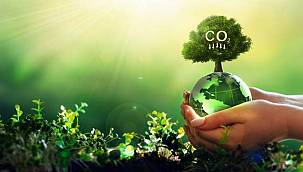 Küresel iklim değişikliği 7 alanda hayatı derinden etkiliyor! 