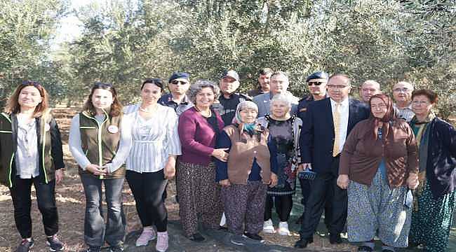 Foça'da Zeytin Hasadı Şenlikle Başladı 