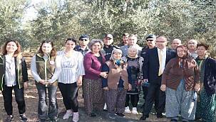 Foça'da Zeytin Hasadı Şenlikle Başladı 