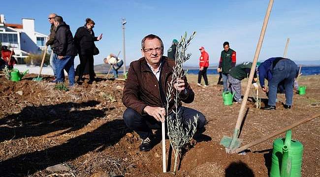 Mesut Ergin: "Dünya Zeytin Ağacı Günü Kutlu Olsun" 