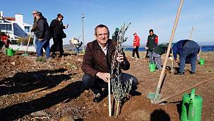 Mesut Ergin: "Dünya Zeytin Ağacı Günü Kutlu Olsun" 