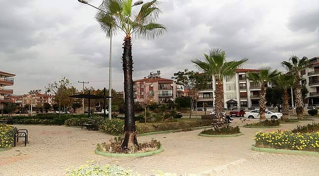 Şehir magandaları parktaki palmiye ağacını yaktı! 