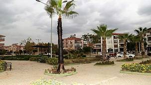 Şehir magandaları parktaki palmiye ağacını yaktı! 