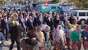 Uluslararası Ayvalık Zeytin Hasat Festivali'ne 17'nci yılında da yoğun ilgi 