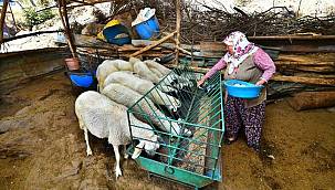 Umut sürüsü büyüyor! 