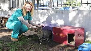 Bayraklı Belediyesi can dostları unutmadı 