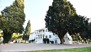 EÜ Kampüsünün sessiz tanıkları: Anıt Ağaçlar