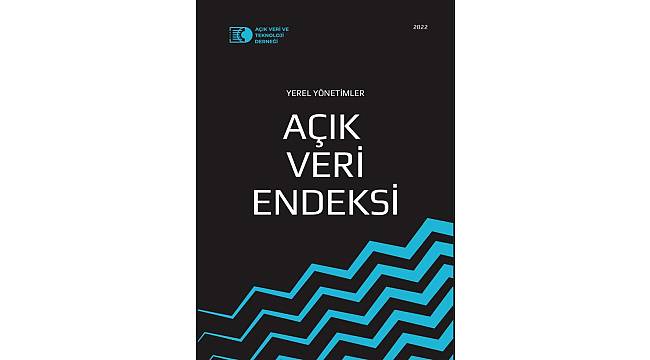 İzmir Büyükşehir Belediyesi'nin Açık Veri Portalı birinci oldu 