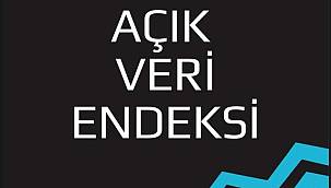 İzmir Büyükşehir Belediyesi'nin Açık Veri Portalı birinci oldu