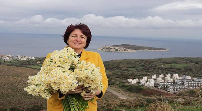 Karaburun, nergisiyle sizi çağırıyor! 