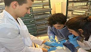 Ege'de "Tavuk koronavirüs aşılarında yerli ve milli adjuvan geliştirilecek"