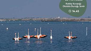 Gediz Deltası'nda kuş gözlem yürüyüşü