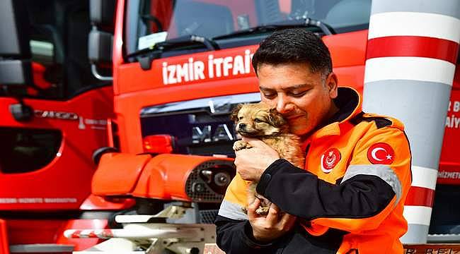 İzmirli itfaiyeci deprem bölgesinden gelen köpeğe yuvasını açtı 