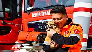 İzmirli itfaiyeci deprem bölgesinden gelen köpeğe yuvasını açtı 