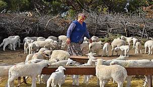 Mera İzmir bu yıl da umut olmaya devam edecek 