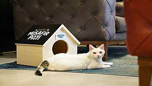 Doğtaş'tan patili dostlarımızı sahiplenmeye teşvik 