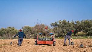 İzmir Tarımı Danışma Hattı kuraklıkla mücadele için çalışıyor 