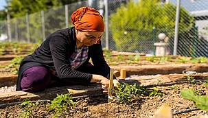 Buca'nın Mustafa Kemal Mahallesi'nde Mahalle Bostanı açıldı 