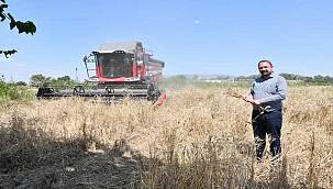 Çiğli Belediyesi'nden Örnek Tarım Uygulaması: İlk Defa Belediye Arazisinde Buğday Hasadına Başlandı