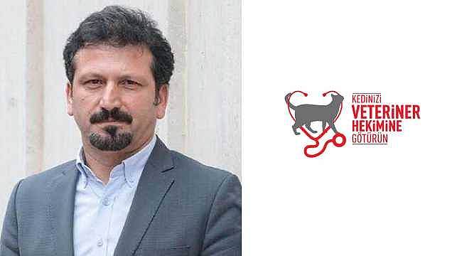'Düzenli Veteriner Hekim Kontrolleri Yalnızca Kedilerin Değil, İnsanların da Sağlığını Korur!'