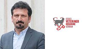 'Düzenli Veteriner Hekim Kontrolleri Yalnızca Kedilerin Değil,  İnsanların da Sağlığını Korur!'