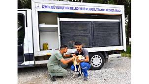 İzmir'de bir yılda 25 bin kedi ve köpek kısırlaştırıldı 