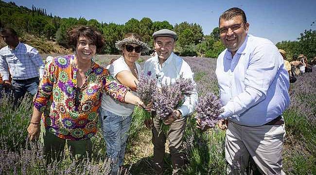 Soyer'den üreticilere lavanta işleme tesisi müjdesi 