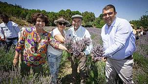 Soyer'den üreticilere lavanta işleme tesisi müjdesi 