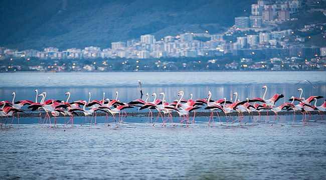 Arıtma lideri İzmir'in denizi de "mükemmel" çıktı 