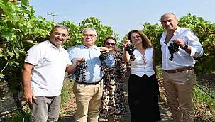 "Borsakarası" İlk Ürününü Verdi 