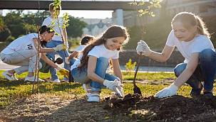 Daha Sosyal Bir Dünya İçin Bireysel Olarak Neler Yapabilirsin? 