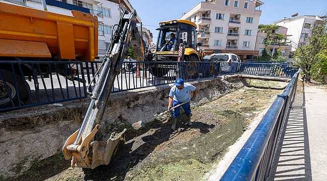 Dikili'deki Sülüklü Deresi temizlendi