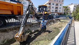 Dikili'deki Sülüklü Deresi temizlendi