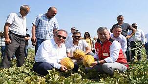 Gerenköy'de Tarımın Bereketi: Kavun Hasat Şenliği 