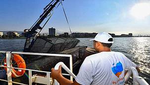 İzmir Körfez'ine ekolojik dokunuş 