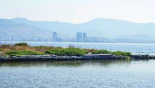 İzmir Körfezi'nde biyolojik çeşitlilik izleme çalışmaları başlıyor! 