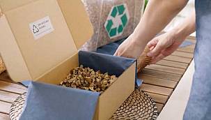 Yeşil Üretime Geçmek İsteyen KOBİ'lere Öneriler 